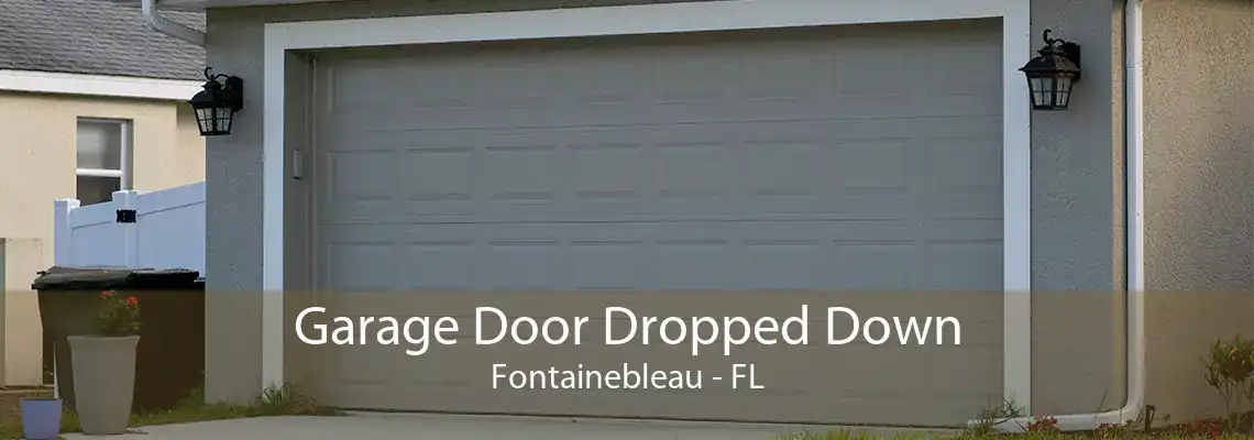 Garage Door Dropped Down Fontainebleau - FL