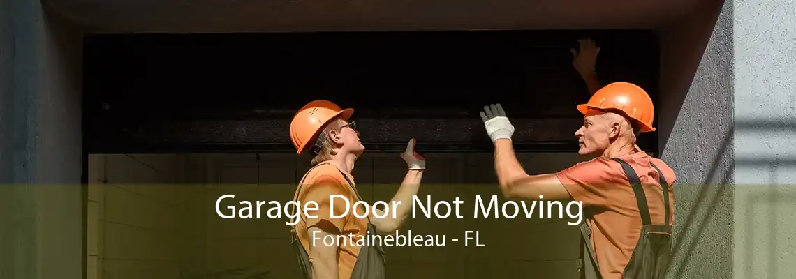 Garage Door Not Moving Fontainebleau - FL