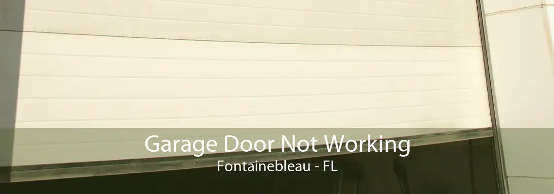 Garage Door Not Working Fontainebleau - FL