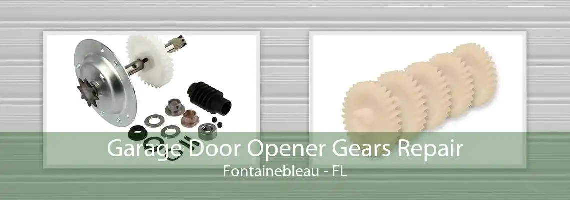 Garage Door Opener Gears Repair Fontainebleau - FL