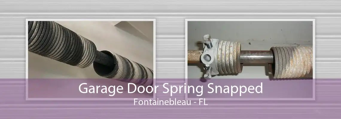 Garage Door Spring Snapped Fontainebleau - FL