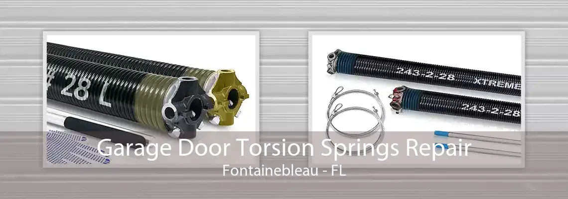 Garage Door Torsion Springs Repair Fontainebleau - FL