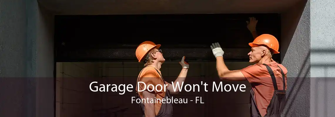 Garage Door Won't Move Fontainebleau - FL