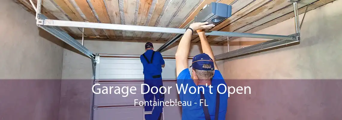 Garage Door Won't Open Fontainebleau - FL