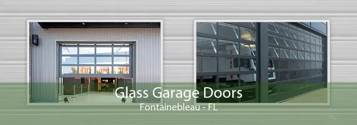 Glass Garage Doors Fontainebleau - FL